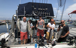 Chasing Browns and Kings in Lake Ontario